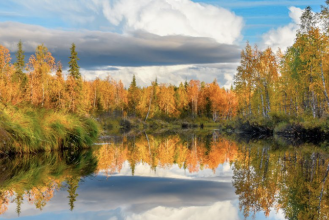 Kaunein syksyn värit ja ruska Lapissa