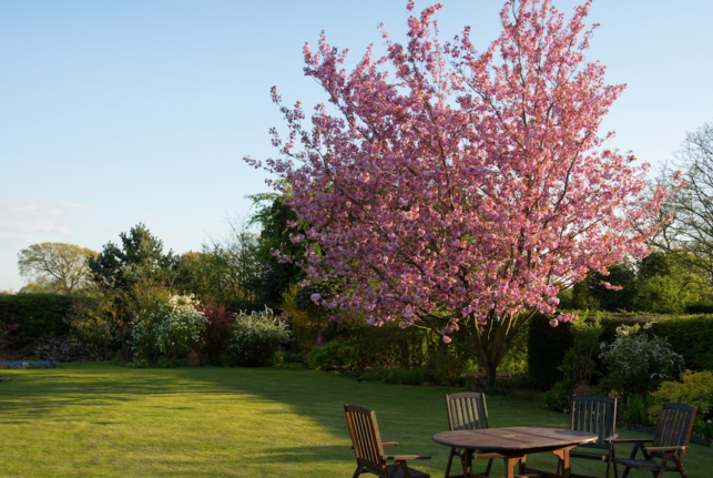 Kuinka aloittaa puutarhurointi yksinään