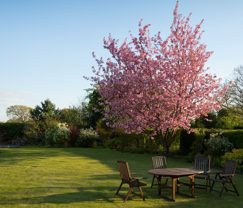 Kuinka aloittaa puutarhurointi yksinään