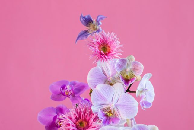 Studio Viivi – Contemporary Floral Design, Helsinki